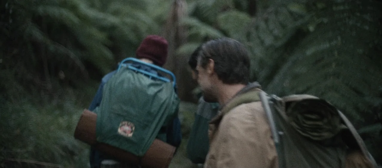 Force of Nature: The Dry 2 (2024) movie still: medium — A dense woodland path is filled with large green ferns and tall vegetation. Two hikers with…