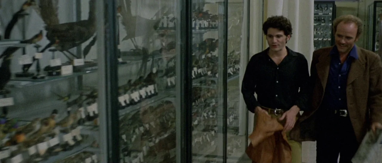 The Bird With The Crystal Plumage (1970) movie still: medium — A narrow museum corridor filled with tall glass cabinets containing various…