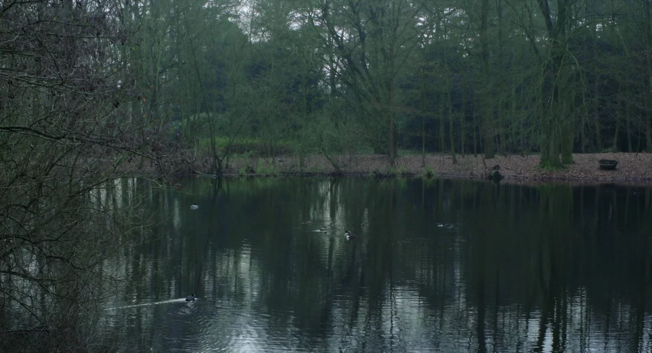 On The Beach At Night Alone (2017) movie still: wide — A dark pond is surrounded by a dense, leafless forest under an overcast sky. Several small…