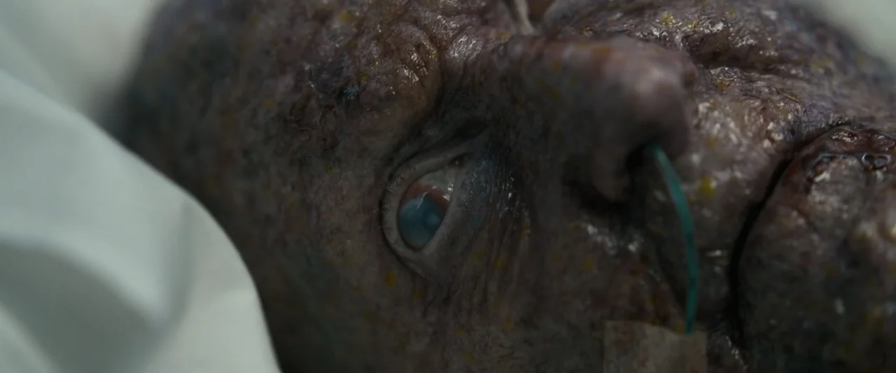 Talk to Me (2023) movie still: closeup — A close view shows the face of an elderly person with severely weathered skin. A thin green medical tube is…