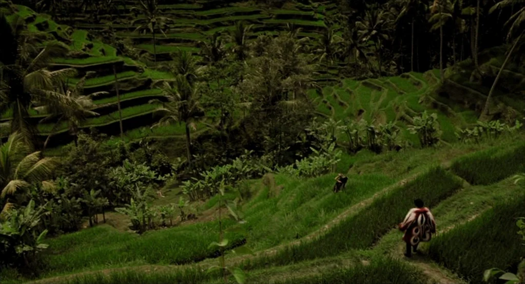 The Fall movie still: wide — A vast expanse of layered green rice terraces stretches across a tropical hillside. A man in a patterned red cloak…