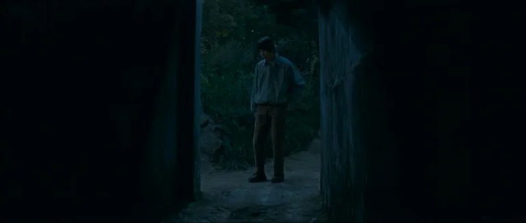 Mother (2009) movie still: fullbody — A man stands on a narrow dirt trail framed by dark, vertical walls. Dense, low-lit foliage sits behind him in…