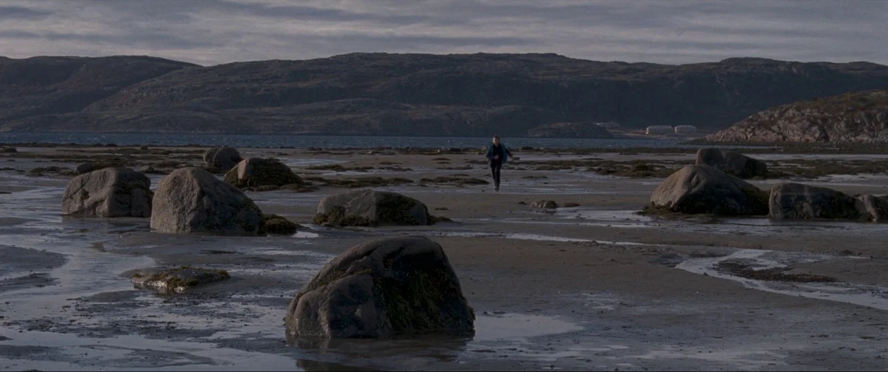 Leviathan (2014) movie still: wide — A vast tidal flat features dark scattered boulders and shallow pools of standing water. A solitary person walks…