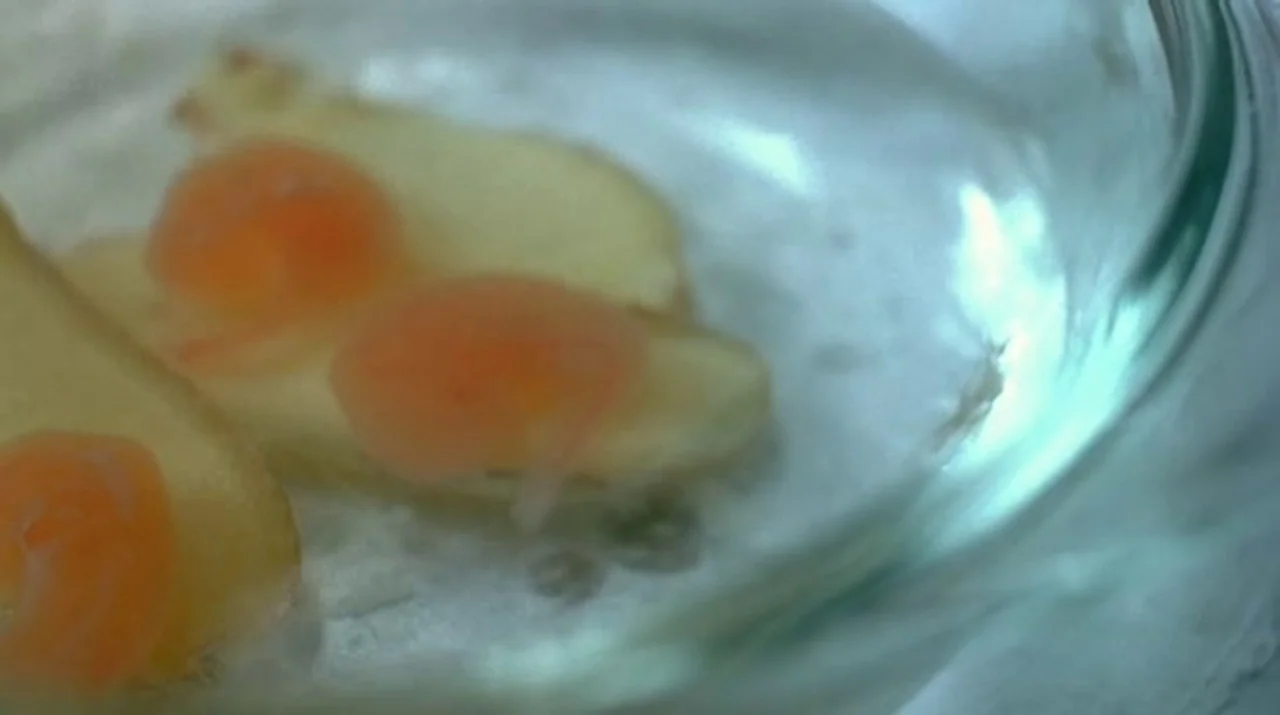 Dumplings (2004) movie still: closeup — A glass container holds thin, pale slices of ginger topped with bright orange roe. The ingredients rest in…