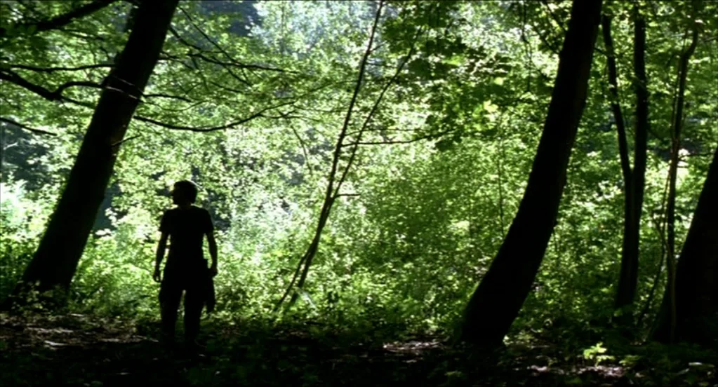 On War (2008) movie still: fullbody — A dense patch of trees fills the frame with lush, sun-drenched foliage. A person stands silhouetted against…