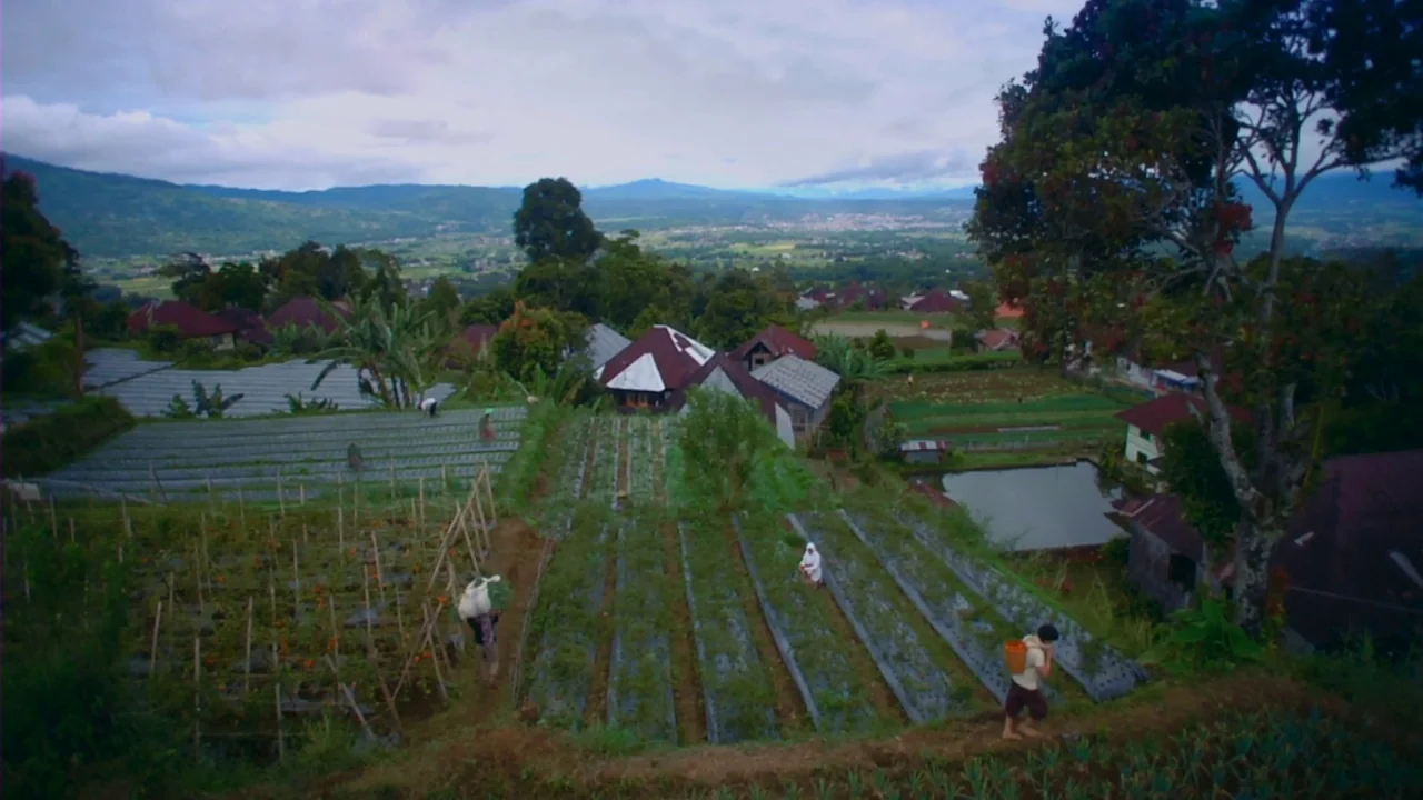Merantau (2009) movie still: wide — A rural terraced hillside farm features rows of plastic-covered crops and small houses. Several individuals work…
