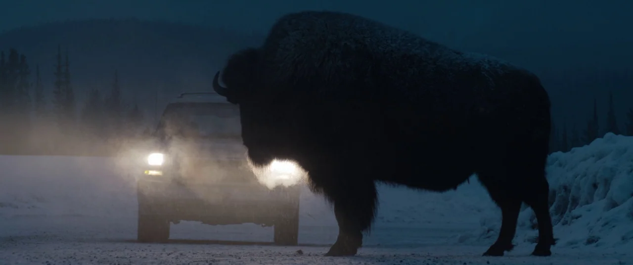 Hold The Dark (2018) movie still: wide — A large bison stands on a snow-covered road in a dark winter landscape. Bright vehicle headlights…