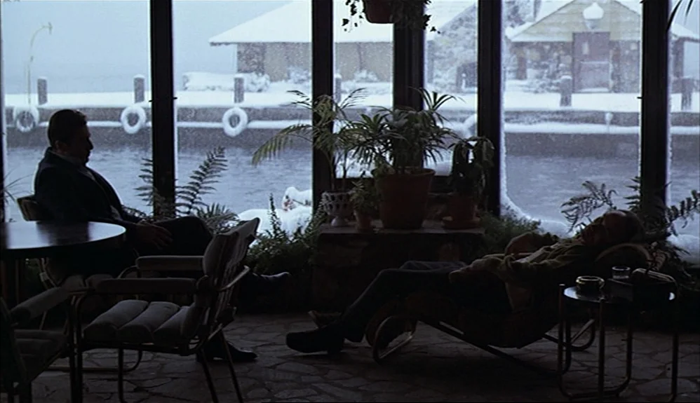 The Godfather Part II (1974) movie still: wide — A dark, plant-filled sunroom overlooks a cold, snow-covered boat dock at a lakefront property. One…
