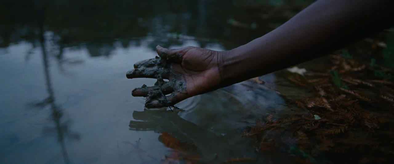 All Dirt Roads Taste of Salt (2023) movie still: closeup — A dark, murky body of water sits surrounded by wet pine needles and foliage. A hand…