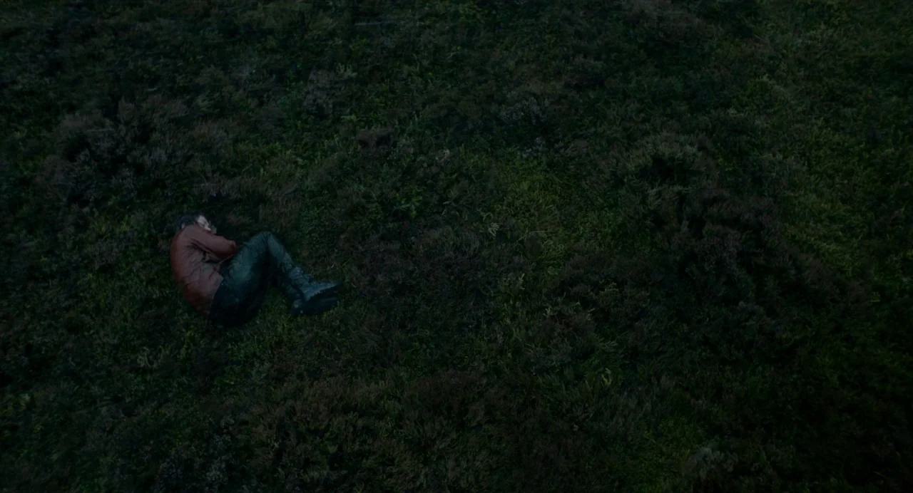 Dark River (2017) movie still: wide — A vast, dark moorland covered in thick, low-lying vegetation and heather plants. A man in a brown jacket curls…