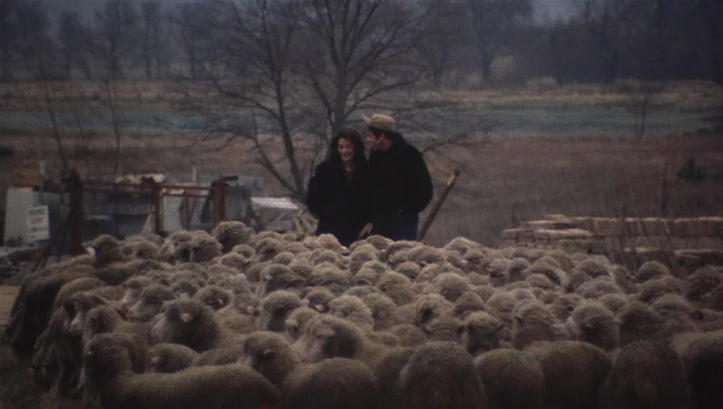 Un Homme et Une Femme (1966) movie still: wide — A rural landscape features a vast flock of sheep grazing in an open field. A man and a woman stand…