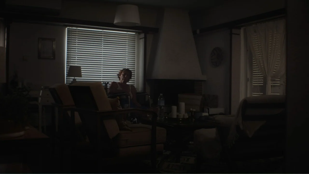 Hot Milk (2025) movie still: medium — A dimly lit living room features a fireplace, furniture, and closed window blinds. A woman sits on a chair…
