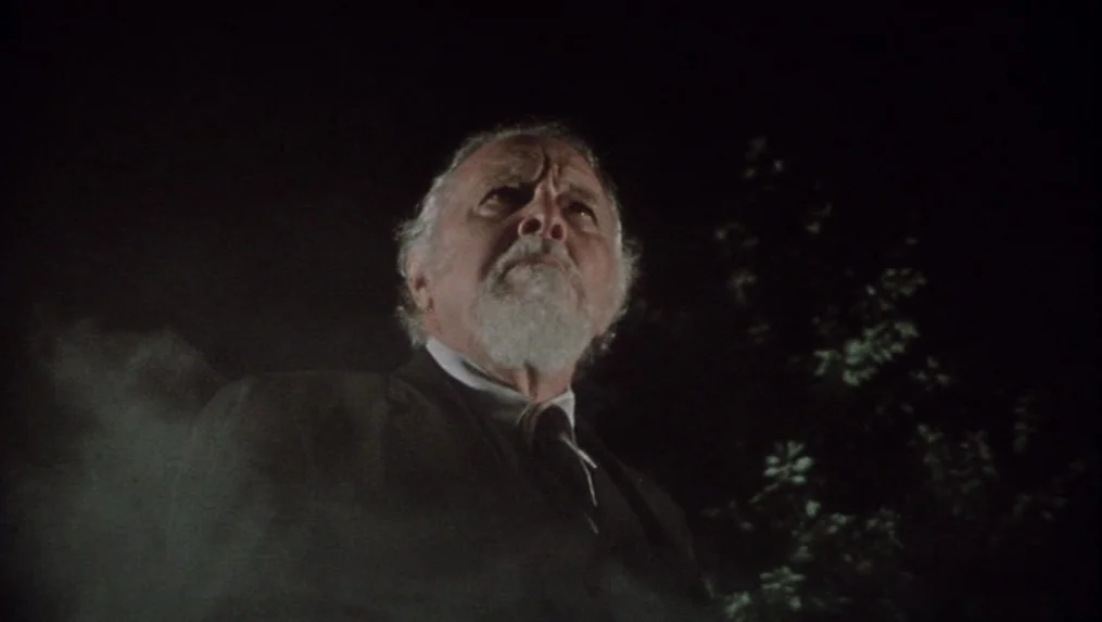 Martin (1977) movie still: closeup — A nighttime exterior scene features a man standing outdoors near foliage. The man in a suit looks upward while…
