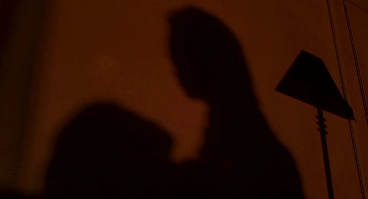 Bride of Chucky (1998) movie still: closeup — Two human shadows are projected onto a dark, solid-colored interior wall. The silhouette of a floor…