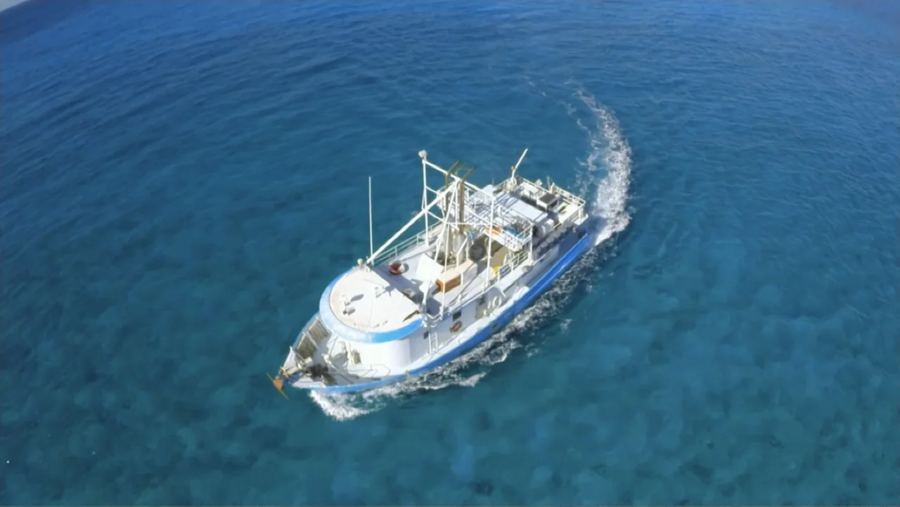 Zombie Sharks (2014) movie still: establishing — A white fishing vessel navigates through a vast expanse of clear blue water. The boat leaves a…