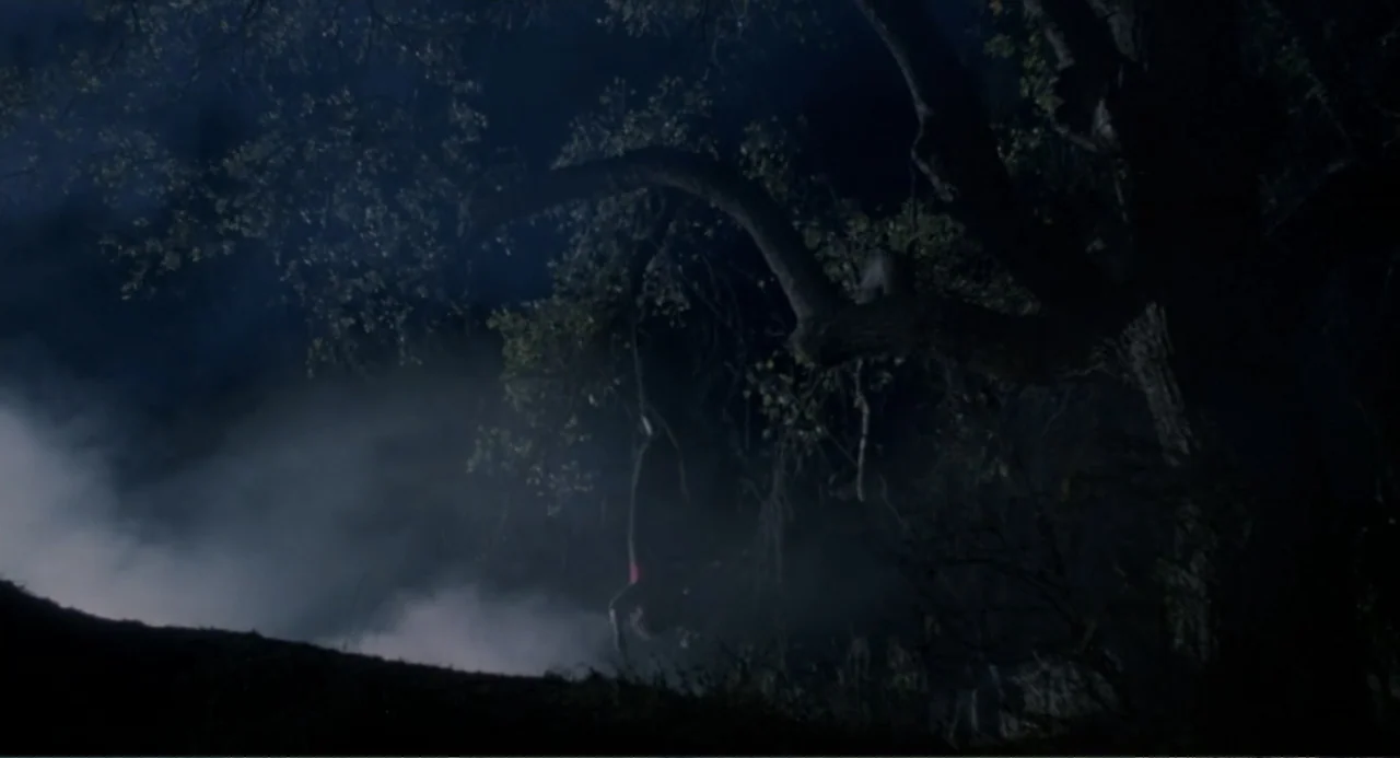 Dangerously Close (1986) movie still: wide — A dark, fog-covered wooded area at night is illuminated by dim moonlight. Thick smoke drifts low across…
