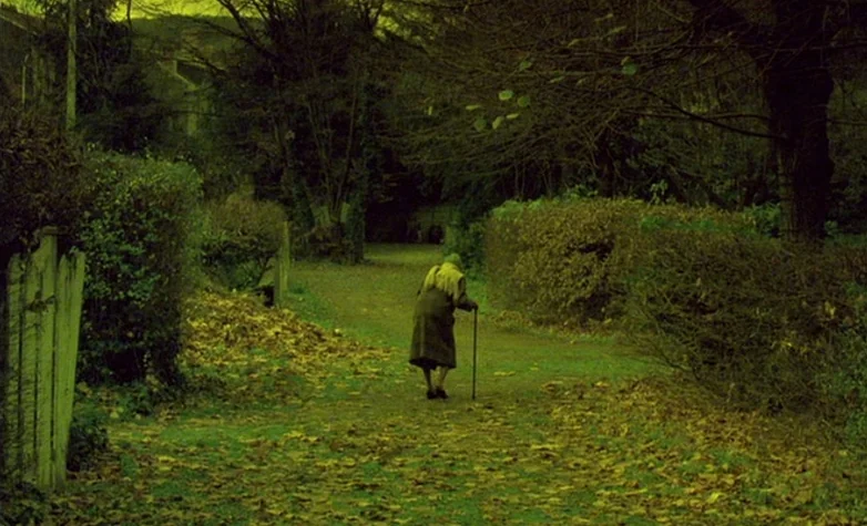 The Double Life of Véronique (1991) movie still: wide — A quiet dirt path winds through thick hedges and trees covered in fallen leaves. An elderly…