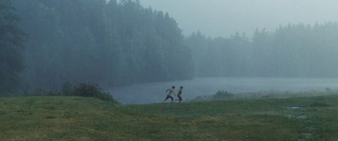 Goodnight Mommy (2014) movie still: wide — A wet, grassy field borders a dark lake under a dense, foggy forest canopy. Two young boys run through…