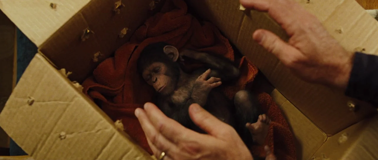 Rise of the Planet of the Apes (2011) movie still: closeup — An infant chimpanzee rests on a red towel inside a perforated cardboard box. Two human…