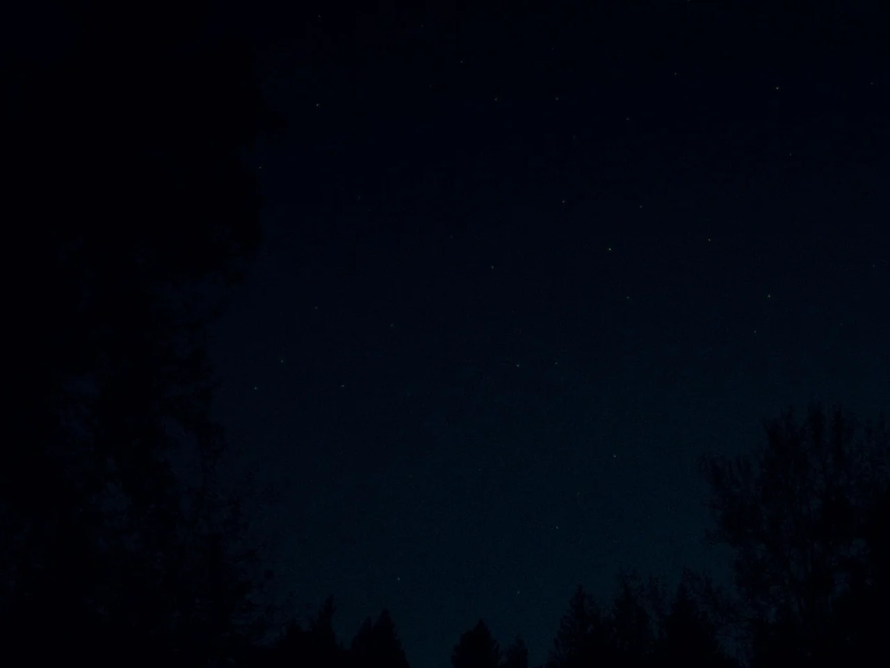 First Cow (2019) movie still: establishing — A night sky filled with small stars sits above a dark tree line. The silhouettes of treetops frame the…