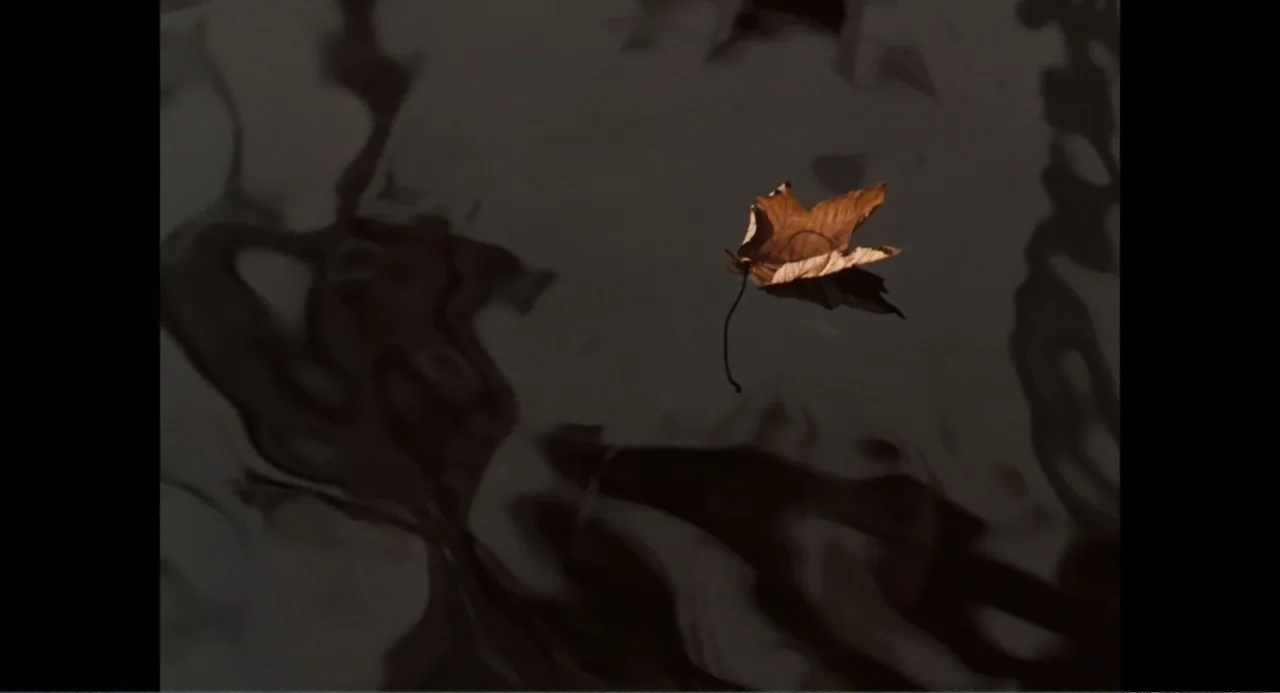 Made in England: The Films of Powell and Pressburger (2024) movie still: closeup — A brown autumn leaf drifts on the dark, reflective surface of a…