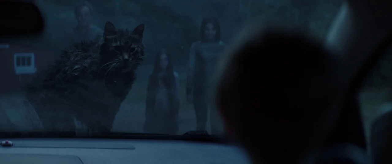 Pet Sematary (2019) movie still: medium — A dark rural road at night viewed through the windshield of a stationary car. A wet cat stands on the hood…
