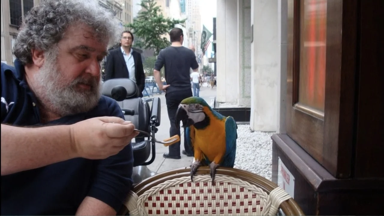 The FIFA Family: A Love Story (2017) movie still: medium — A sidewalk cafe in a city with a man feeding a parrot. A man with curly gray hair reaches…