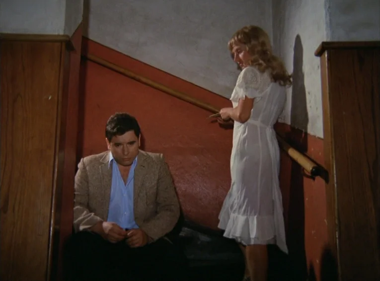 The Merchant Of The Four Seasons (1971) movie still: fullbody — A narrow residential stairwell features red-painted walls and light wood paneling. A…