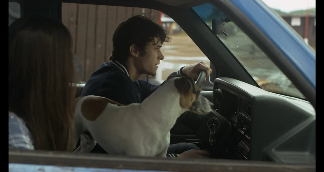 A.R.C.H.I.E. (2016) movie still: medium — The interior of a moving vehicle parked on a rainy day. A man drives the car with a terrier dog sitting in…