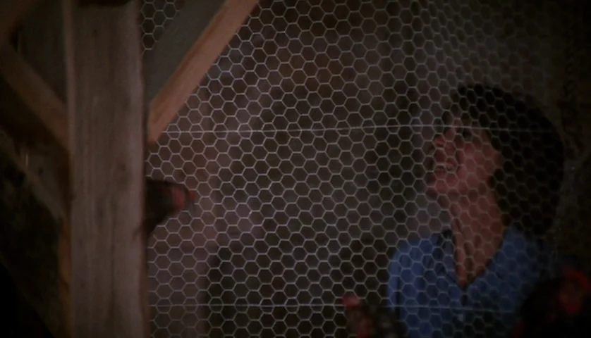 Let’s Scare Jessica To Death (1971) movie still: medium — A dimly lit interior space with wooden structural beams and a wire mesh enclosure. A woman…