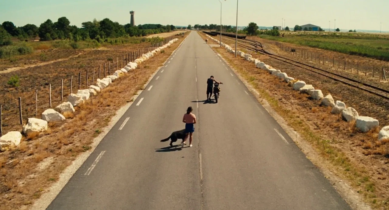 Ava (2017) movie still: wide — A long, flat asphalt road stretches into the distance through an open rural landscape. A woman walks with a dog while…