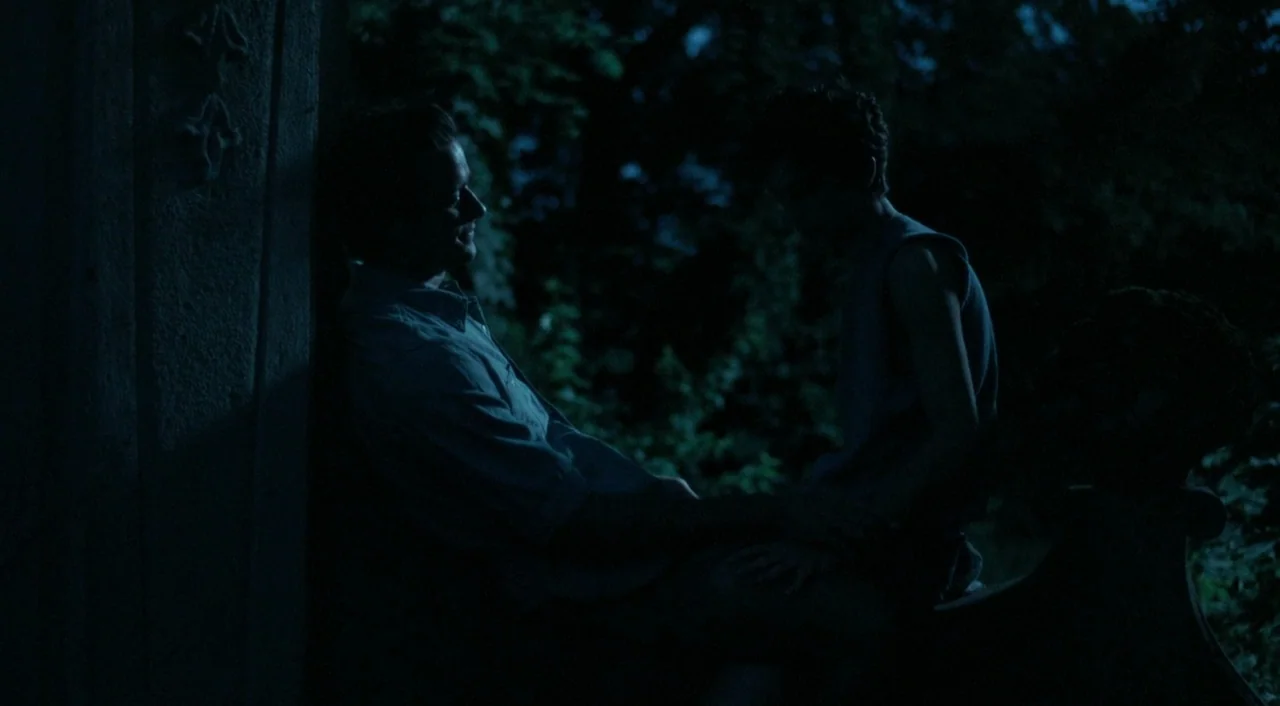Call Me By Your Name (2017) movie still: medium — Two men sit close together against a stone surface at night outdoors. Dense foliage fills the…