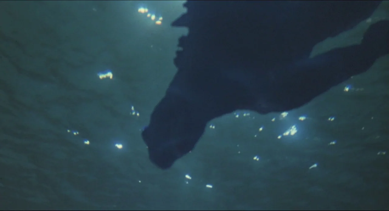 Godzilla vs. Biollante (1989) movie still: wide — An expanse of deep blue water viewed from below the surface looking upward. Scattered points of…