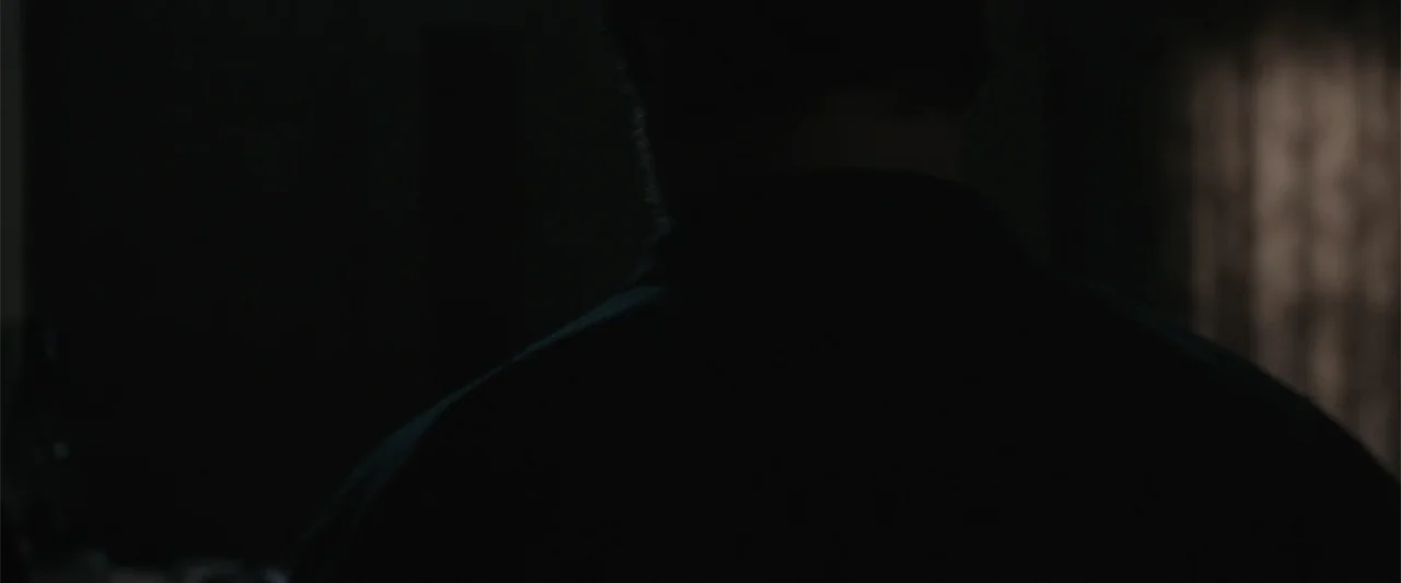 Maggie (2015) movie still: medium — A dimly lit interior space with shadows obscuring most of the room. A single subject is positioned in the…