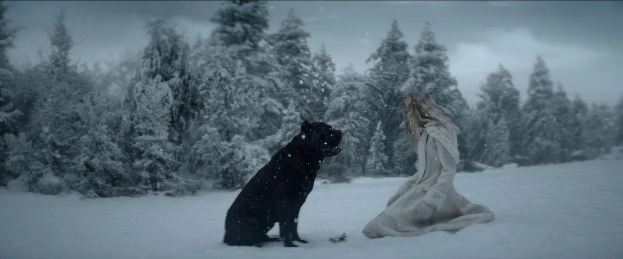 Rebel Moon – Part One: A Child of Fire (2023) movie still: fullbody — A snowy, desolate woodland clearing surrounded by frost-covered evergreen…