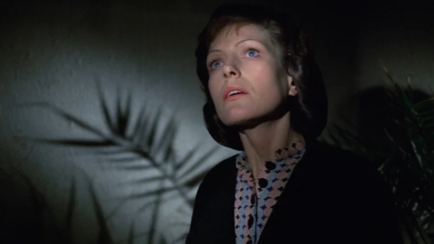 Tenderness of the Wolves (1973) movie still: medium — A dimly lit interior room features a plain wall with a sharp leaf shadow. A woman in a black…