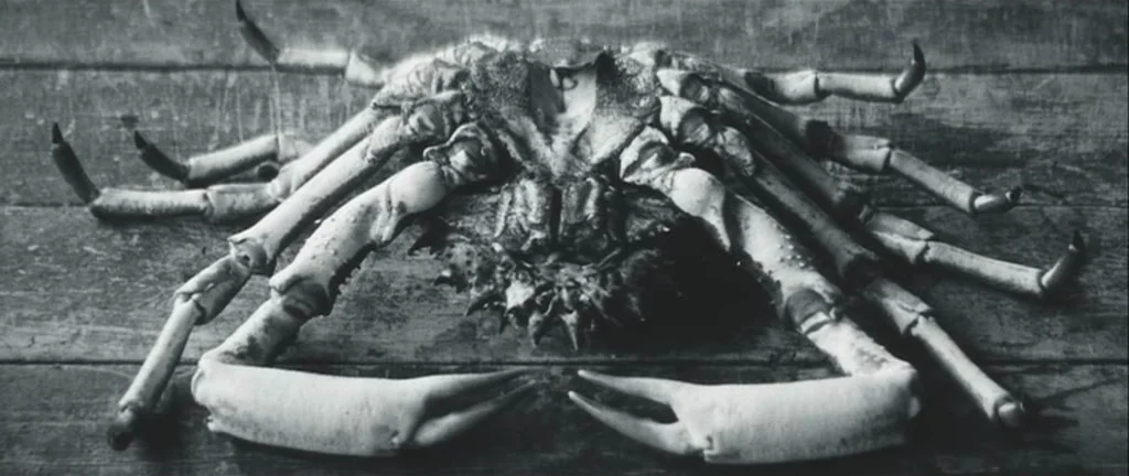 Les Créatures (1966) movie still: closeup — A large crab is positioned on a dark wooden plank surface. The crab occupies the center of the frame and…