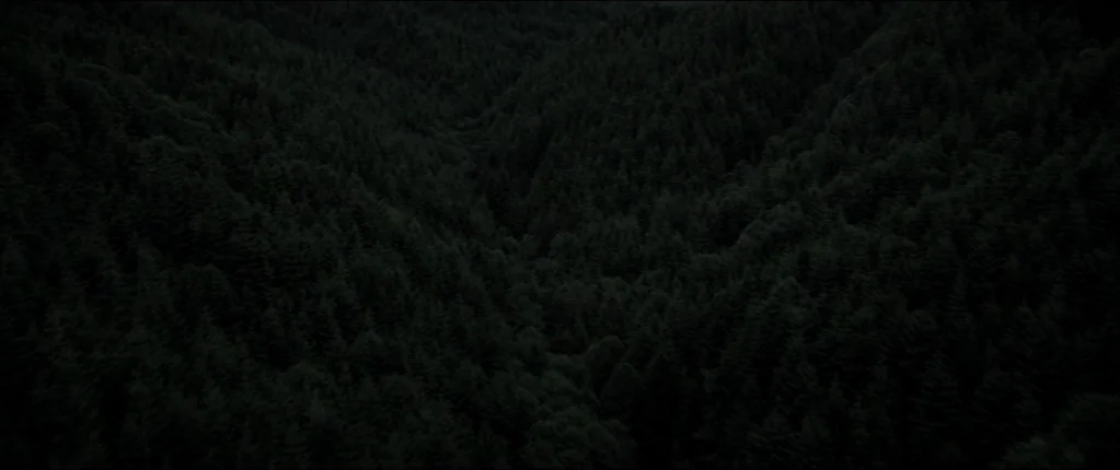 Abattoir (2016) movie still: establishing — A dense, dark expanse of coniferous trees covers rolling terrain at night. The canopy is tightly packed…