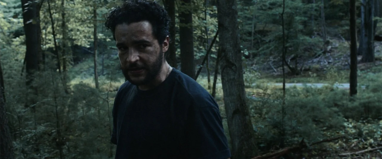 It Comes at Night (2017) movie still: medium — A dense patch of woods with scattered tree trunks and green ground foliage. A man stands near the…