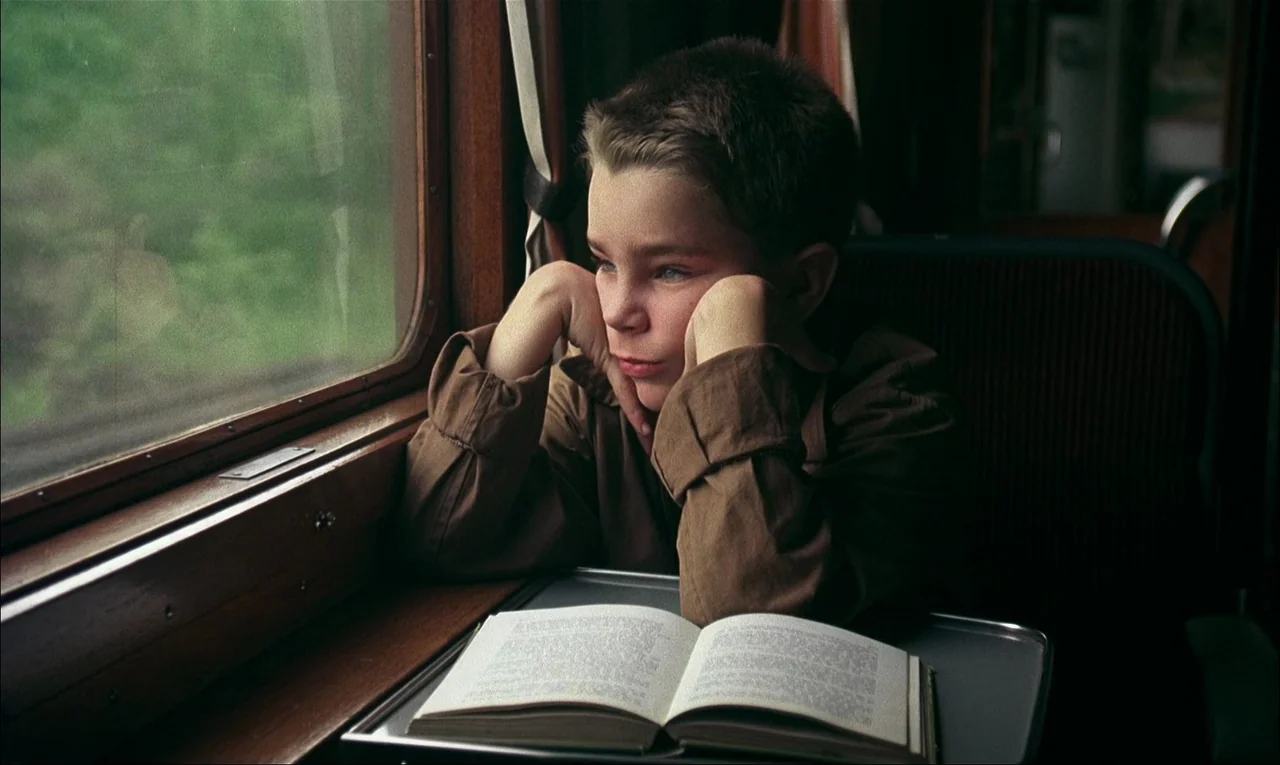 My Life As A Dog (1985) movie still: medium — A vintage wood-paneled train cabin with a large rectangular window showing blurred green landscape. A…