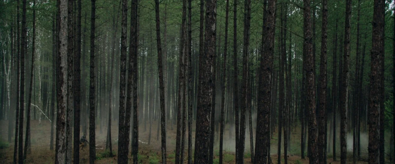 The Silencing (2020) movie still: wide — A dense grove of mature pine trees stands closely together in a calm forest. Thin wisps of morning mist…