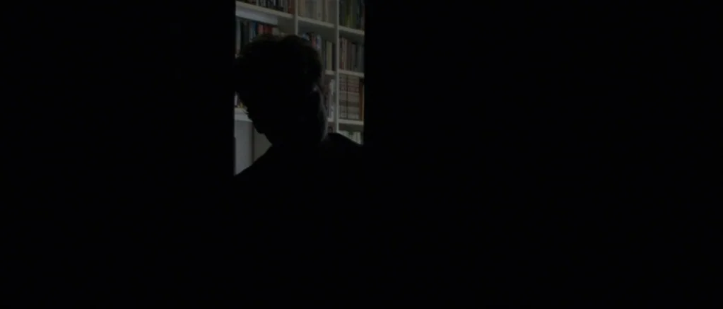 Genova (2008) movie still: medium — A dark space leads to a brightly lit room with shelves filled with books. A man's silhouette appears in the…