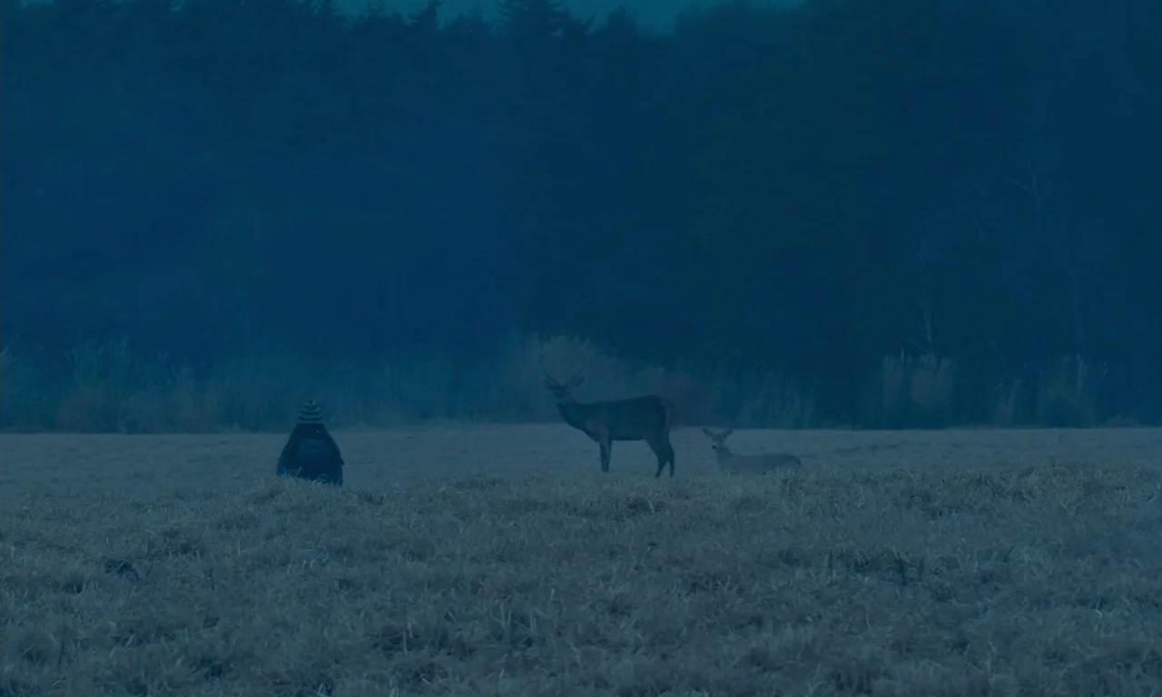 Evil Does Not Exist (2023) movie still: wide — A field of dry, sparse grass under a dark blue sky at dawn. A person sits near two standing deer in…