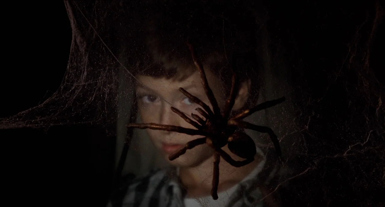 The Spider Labyrinth (1988) movie still: closeup — A young boy stares through a thick spider web in a dark space. A large spider rests in the center…