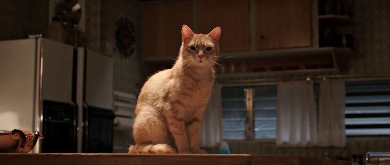 The Voices (2014) movie still: medium — An orange tabby cat sits on a wooden countertop in a dimly lit space. Wooden cabinets and a refrigerator are…