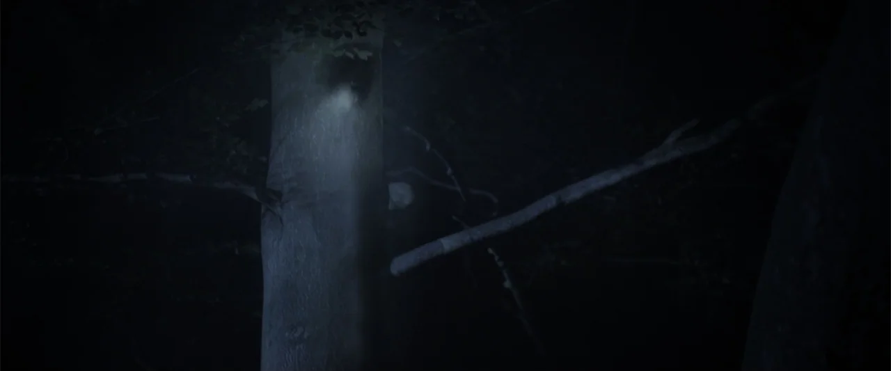 Howl (2015) movie still: closeup — A single tree trunk is illuminated by a narrow light beam in a dark forest. Thick shadows surround the bark and…