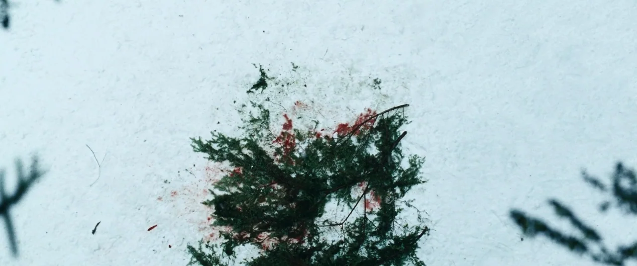The Grey (2012) movie still: establishing — A top-down view shows a patch of pristine white snow in a wooded area. Dark green pine branches lay…