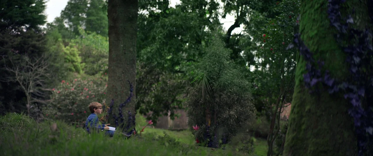 Colour Out of Space (2020) movie still: wide — A dense patch of trees and foliage fills a quiet, overgrown natural space. A young child sits alone…