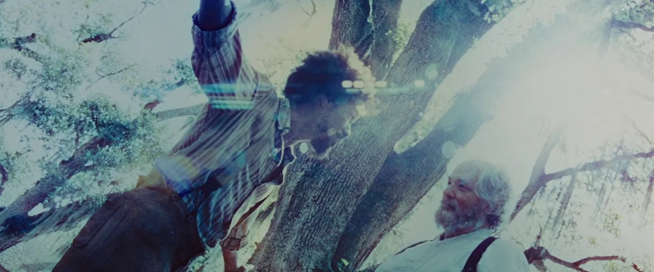 Django Unchained (2012) movie still: medium — Two men stand beneath large oak trees with hanging moss on a bright day. A younger man in a striped…