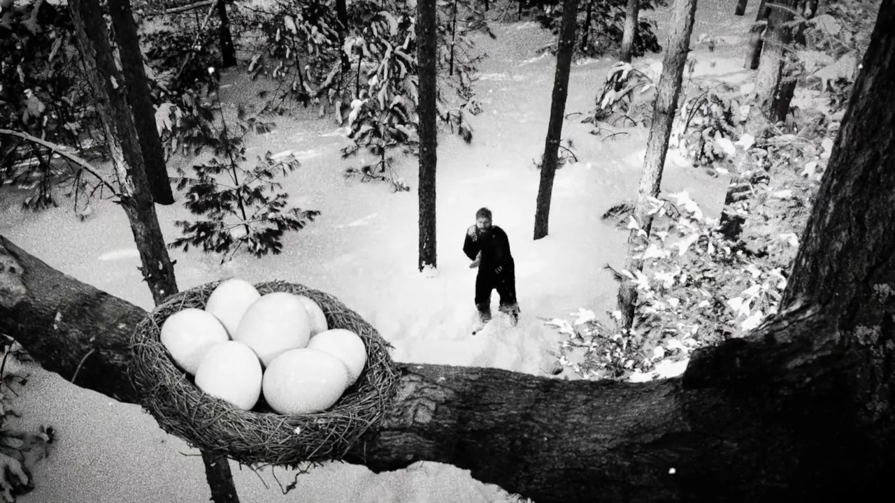 Hundreds of Beavers (2022) movie still: wide — A snow-covered forest floor sits below a large bird's nest resting on a branch. A man in dark…